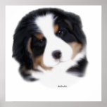 MadDog's Baby Face Print