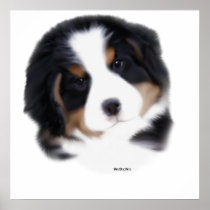 MadDog's Baby Face Print