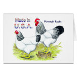 Made In The USA:  Columbian Rocks Greeting Card