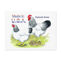 Made In The USA: Columbian Rocks postcards by diane_jacky Made In The USA: Columbian Rocks postcards