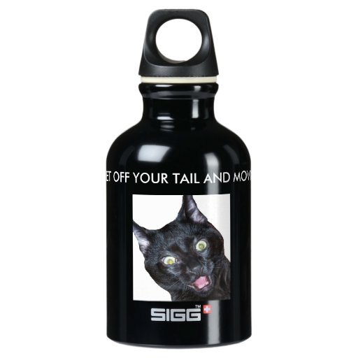 Made in USA SIGG Traveler 0.3L Water Bottle
