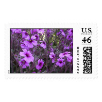Madeira Storksbill postage by JLWinther Madeira Storksbill postage
