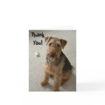 Madeleine Thank You Notecard