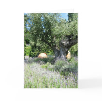 Madiera cards