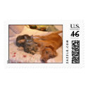 Madison and Snuggles postage by sbrooks001 Madison and Snuggles postage