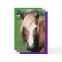 Madison notecard by GraceFoundation Madison notecard