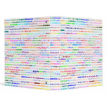 Madison Text Design II Binder