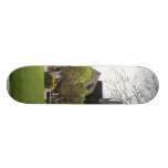 Madison University Fountain Skateboards