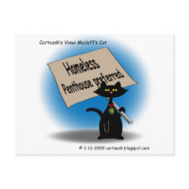 Madoff's Cat postcards