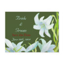 Madonna Lilies: Save the Date(modified version) postcard