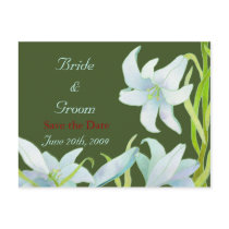 Madonna Lilies: Save the Date(modified version) postcards by daphne1024 Madonna Lilies: Save the Date(modified version) postcards