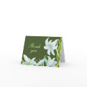 Madonna Lily: Thank You Card