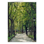 Madrid Park cards