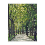 Madrid Park