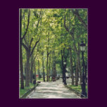 Madrid Park