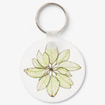 Madrone Trail Keychain