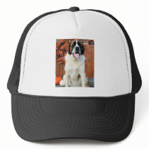Mae - Saint Bernard Photo-12 hats by FrankzPawPrintz Mae - Saint Bernard Photo-12 hats