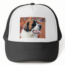 Mae - Saint Bernard Photo-6 hats by FrankzPawPrintz Mae - Saint Bernard Photo-6 hats