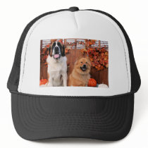 Mae St Bernard & Cinny Chow Photo-11 hats by FrankzPawPrintz Mae St Bernard & Cinny Chow Photo-11 hats