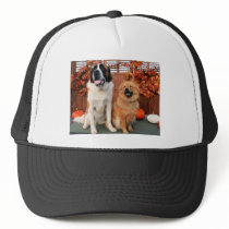 Mae - St Bernard & Cinny - Chow Photo-4 hats by FrankzPawPrintz Mae - St Bernard & Cinny - Chow Photo-4 hats
