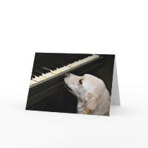 maestro cards by deemac1 maestro cards