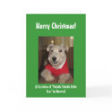 Maestro the Lakeland Terrier Christmas Cards