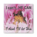mag8hecan magnets by signlady29 mag8hecan magnets
