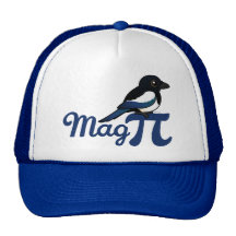 Mag PI Mesh Hats