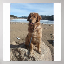 Magellan at Nederland Reservoir on Canvas Poster