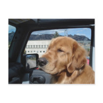 Magellan My Co-Pilot Post Card