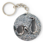 Magellanic Penguins, Beagle Channel, Patagonia Keychain