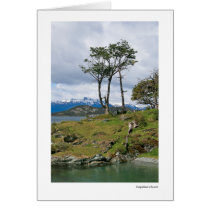 Magellen's Beech Greeting Cards