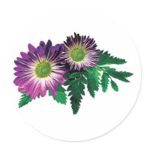 Magenta and White Daisies and Ferns stickers