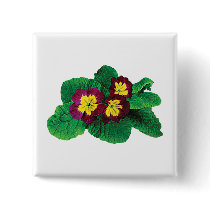 Magenta and Yellow Primrose buttons