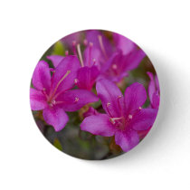 Magenta Azalea DSC1724 Pin