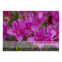 Magenta Azalea DSC1724 Card