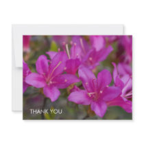 Magenta Azalea DSC1724 invitations by HortusFloridus Magenta Azalea DSC1724 invitations