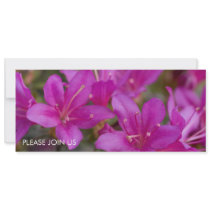 Magenta Azalea DSC1724 invitations by HortusFloridus Magenta Azalea DSC1724 invitations