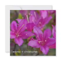 Magenta Azalea DSC1724 Personalized Invites