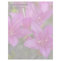 Magenta Azalea DSC1724 letterhead by HortusFloridus Magenta Azalea DSC1724 letterhead