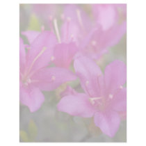 Magenta Azalea DSC1724 letterhead by HortusFloridus Magenta Azalea DSC1724 letterhead