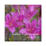 Magenta Azalea DSC1724 magnets