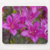 Magenta Azalea DSC1724 Mousepad