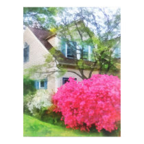 Magenta Azalea Garden posters