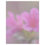 Magenta Azalea Macro Custom Letterhead