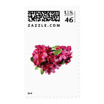 Magenta Azaleas Stamp