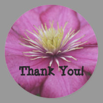 Magenta Clematis stickers by sharpcreations Magenta Clematis stickers