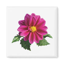 Magenta Gerbera Daisy magnets