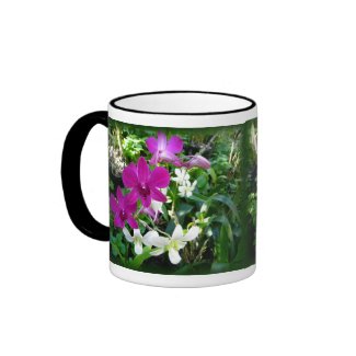 Magenta Orchids Mug