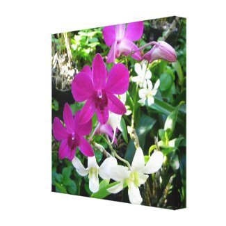 Magenta Orchids Wrapped Canvas